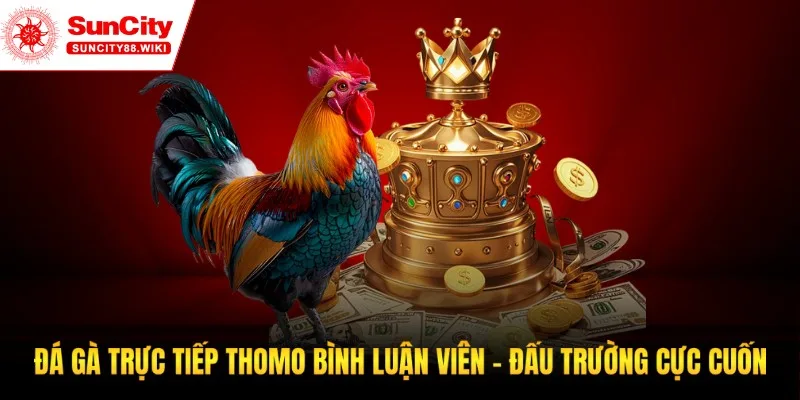 Đá gà trực tiếp thomo bình luận viên